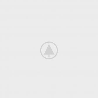 wood-gallery-placeholder-4 wood-gallery-placeholder-4