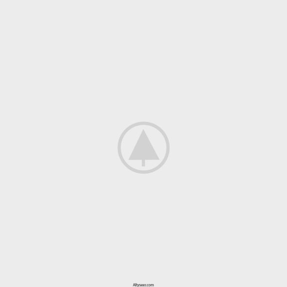 wood-gallery-placeholder-4